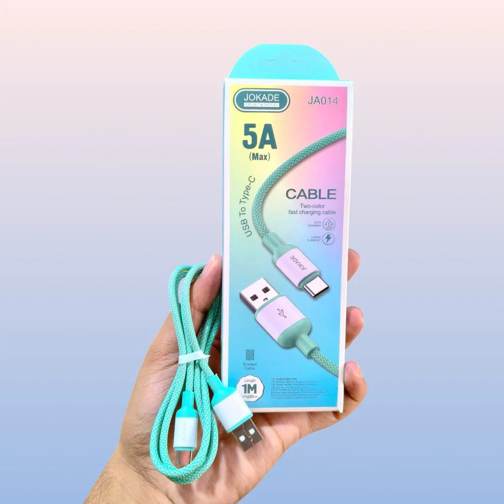 USB-C to Type-C 5A braided cable