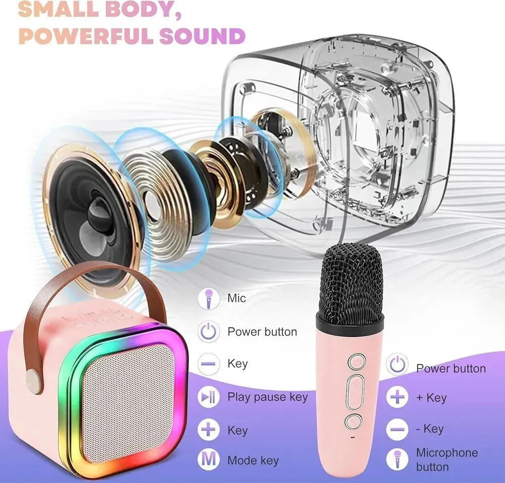 LED karaoke speaker with wireless mics